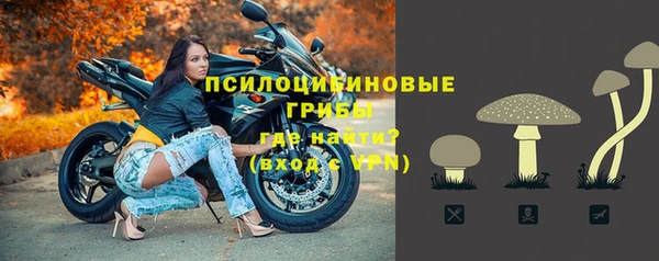 стафф Хадыженск