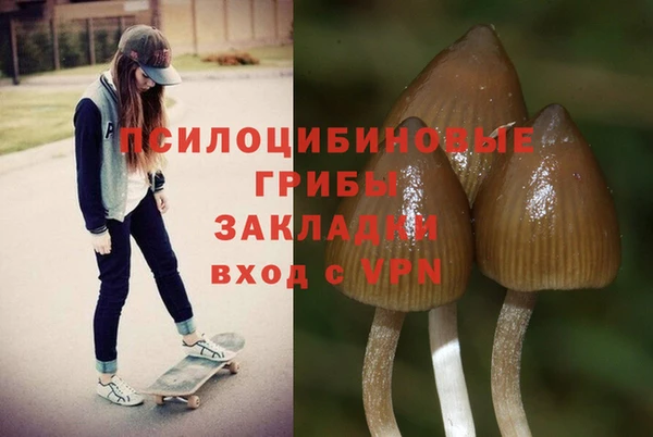 стафф Хадыженск