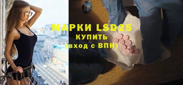 гашик Фурманов